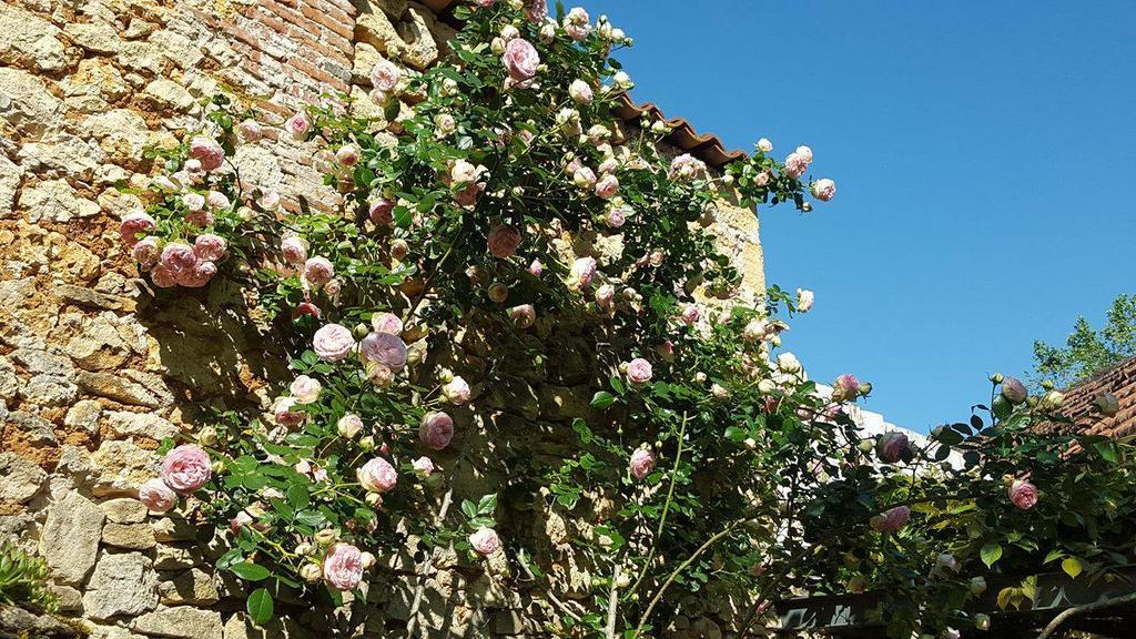 Ferienhaus Le Clos Des Songes