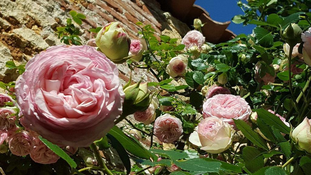 Ferienhaus Le Clos Des Songes *